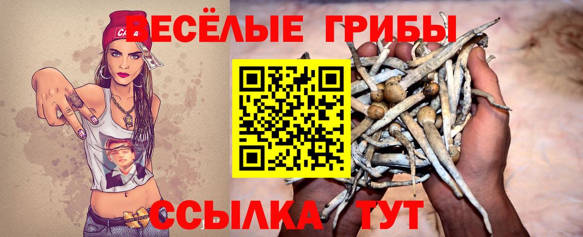 Азов  Псилоцибиновые грибы MAGIC MUSHROOMS  Вход с VPN 